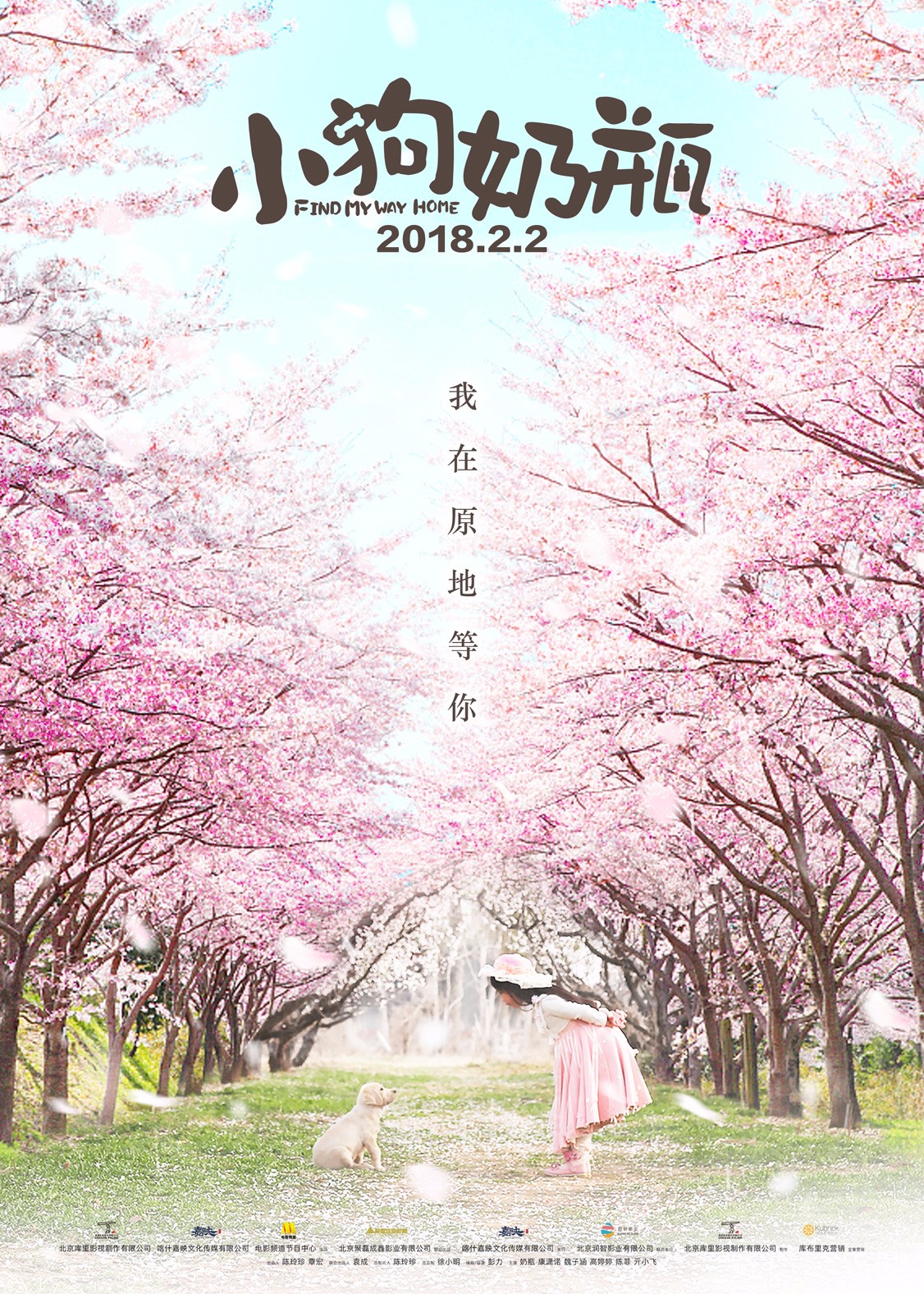 1517542504866060.jpg 初見版海報.jpg